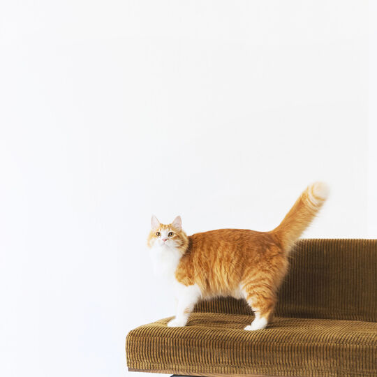 photo_00045