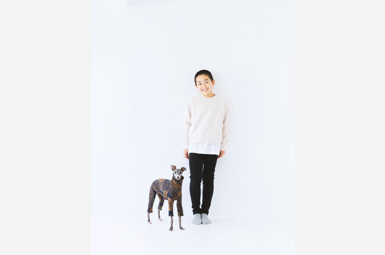 犬