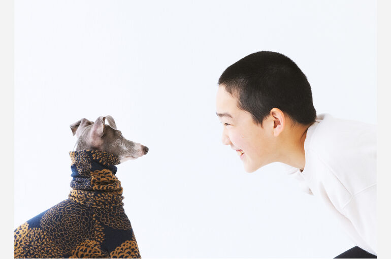 犬