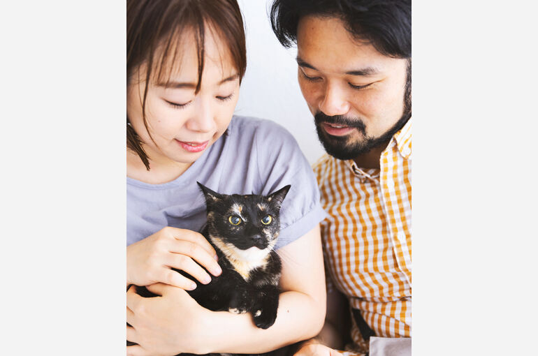 猫