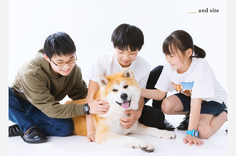 犬