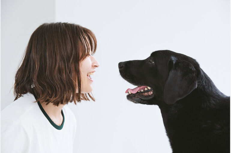 犬