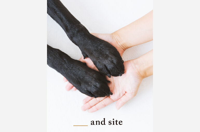 犬