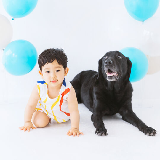 犬