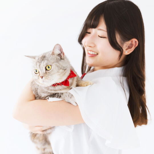 猫