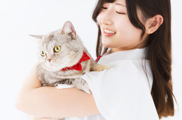 猫