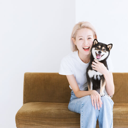 犬