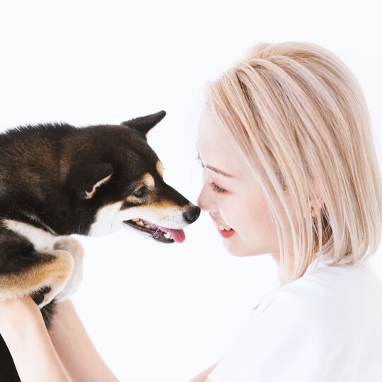 犬
