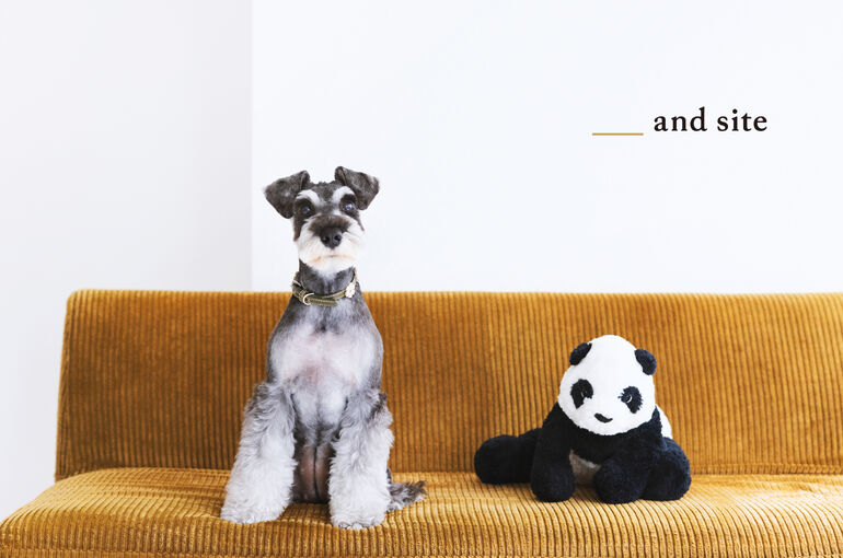 犬
