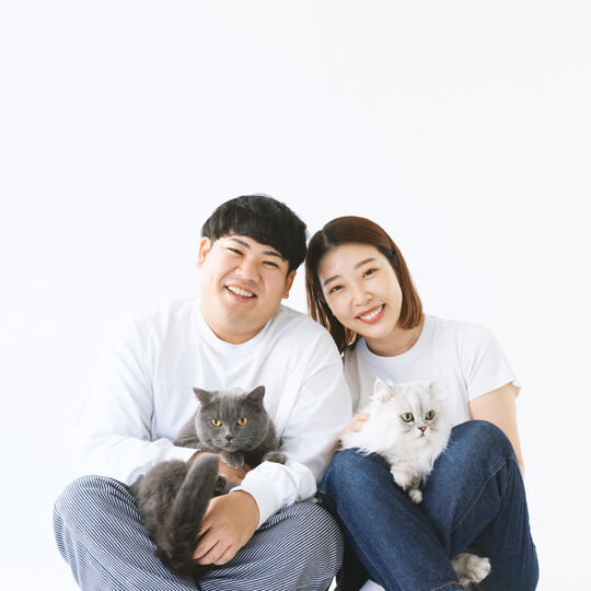 猫