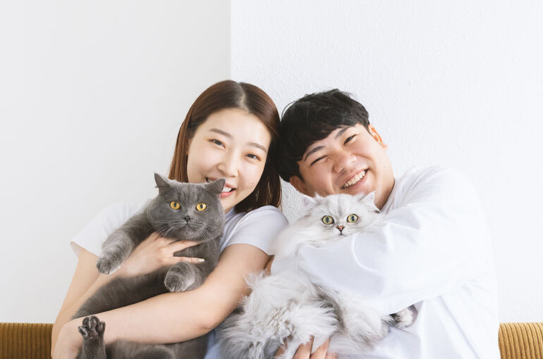 猫