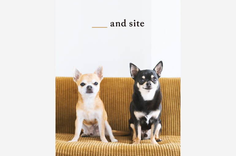 犬