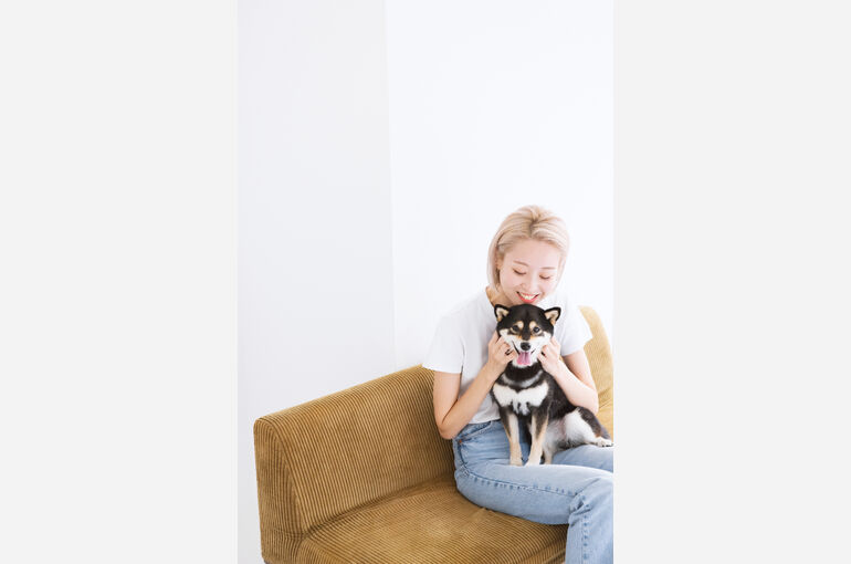 犬