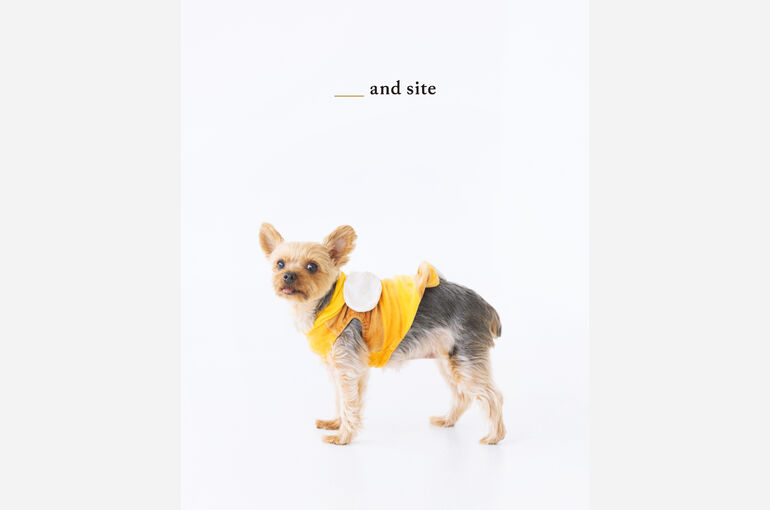 犬