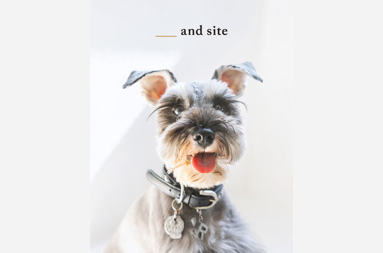 犬