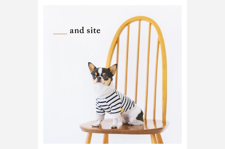 犬