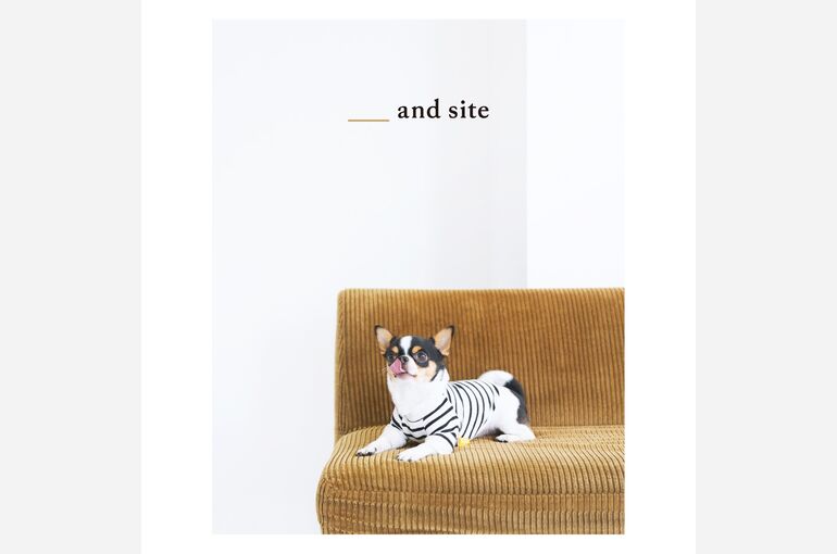 犬