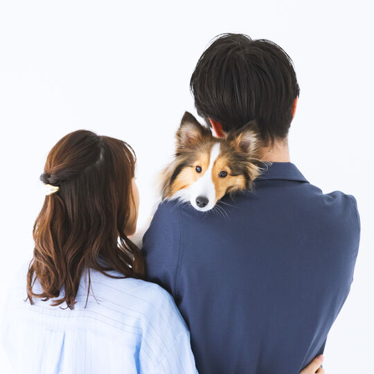 犬