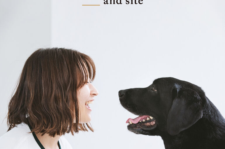 犬