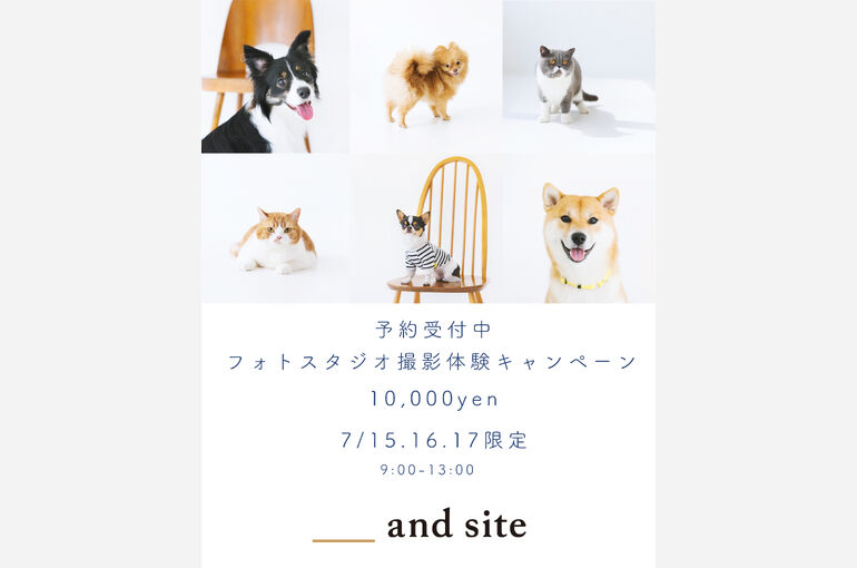 7月キャンペーン